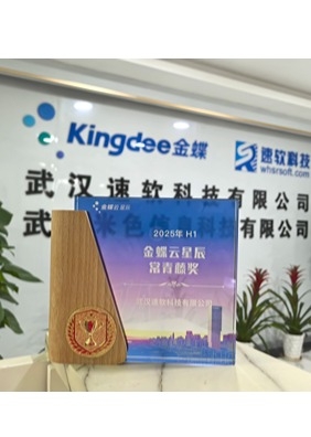 金蝶云星辰常青藤奖