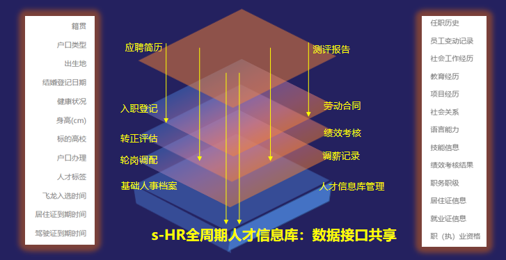 金蝶云星辰 金蝶云星辰